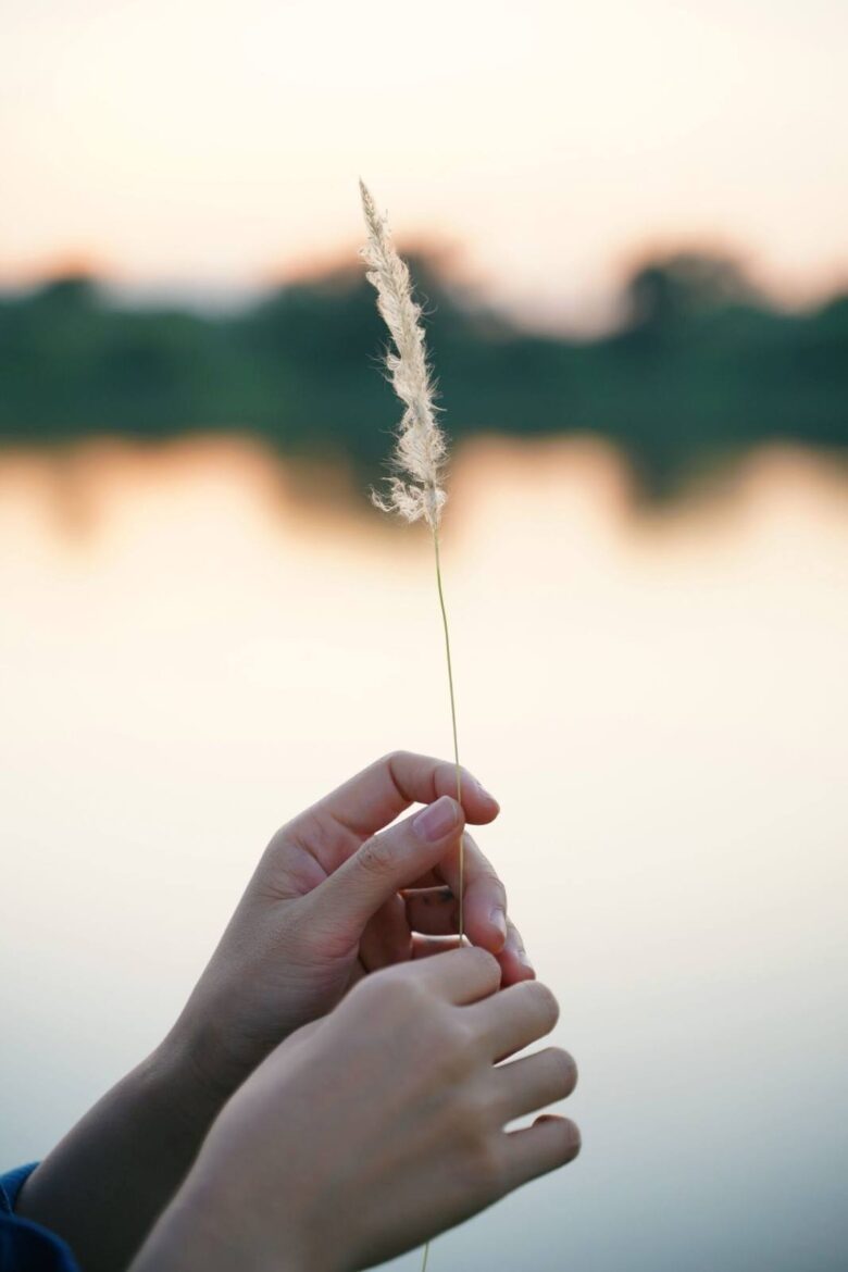 Manos sosteniendo una pluma junto al agua, mindfulness y terapia Gestalt